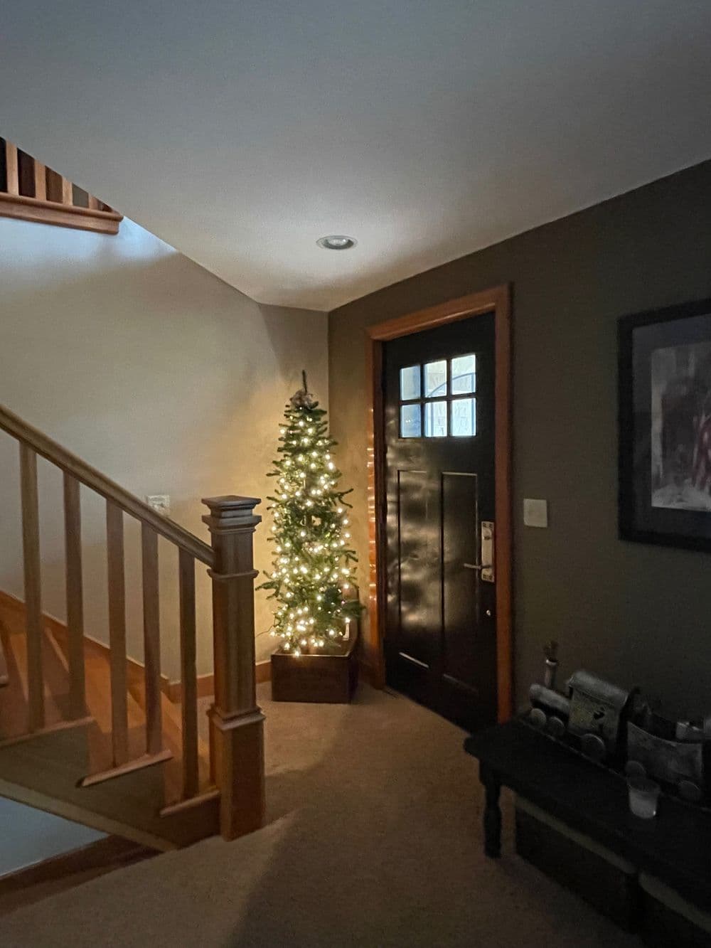 Cozy entryway with a decorated Christmas tree and dark front door.